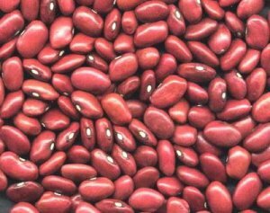 đậu xanh và đậu đỏ