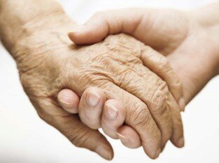 Món quà chay tịnh, hạnh phúc từ tâm