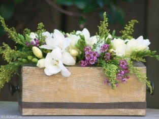 Bình hoa cổ điển từ hộp đựng khăn giấy