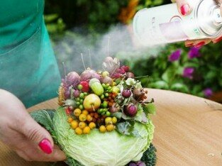 Cắm hoa bắp cải cho thu lãng mạn