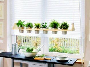 Tự làm vườn treo cho gian bếp