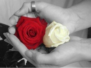 Mùa Vu Lan, niềm hạnh phúc hoa hồng cài áo