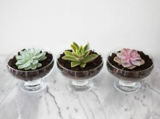 4 ý tưởng cắm hoa đẹp, độc đáo cho gian bếp bừng sáng