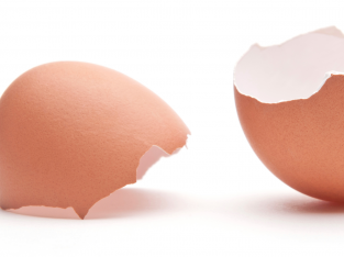 Đây là lý do vì sao bạn không nên vứt bỏ vỏ trứng