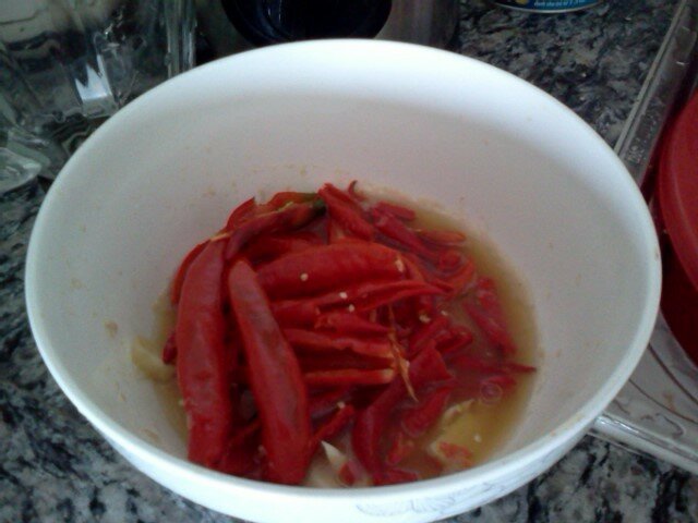 Ot hiem & Ot sung loc bo hot, toi, gung xay chung nuoc ep tao