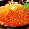 Trứng cá hồi