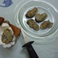 Gỏi...hàu