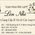 Hoa Tươi Lin Nhi - Chuyên cung cấp hoa các sự kiện, hoa cưới - cắm hoa theo yêu cầu khách hàng