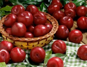 Ăn nhiều mận không sợ nóng