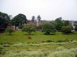 Nhà hàng nổi tiếng ở Bắc Ninh - Khu Văn Hóa Ẩm Thực Việt Anh