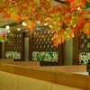 Thưởng thức hương vị Nhật và tắm bia Nga