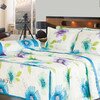 Cuscino - Quên đi vất vả, thả từng giấc ngon