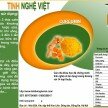 Tinh bột nghệ, tinh bột nghệ việt