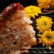 Bánh trung thu nướng nhân dừa