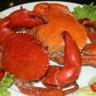 Thưởng thức buffet hải sản tại nhà hàng Hương Sen