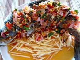 ca-sot-chua-cay 1