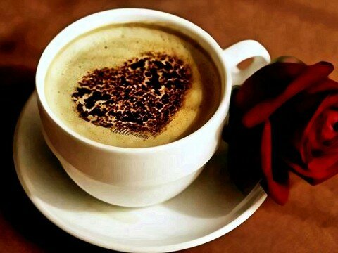 Cafe-Eros-7