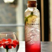 Mojito soda raspberry tại Oromia