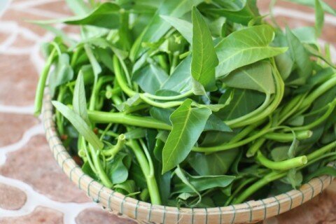 Rau muống xào nấm 1