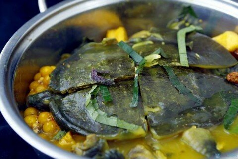 Ba ba om chuối đậu
