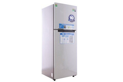 Tủ lạnh Samsung RT29FARBDSA/SV 