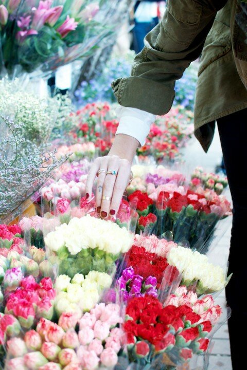 chon hoa 1