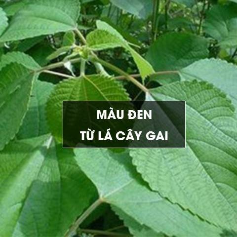 mau-den