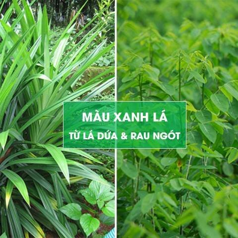 mau-xanh-la