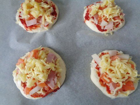 pizza ca hoi 2