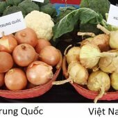 Bỏ túi mẹo hay phân biệt rau củ Trung Quốc