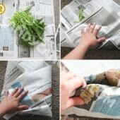Cách bảo quản giữ rau tươi