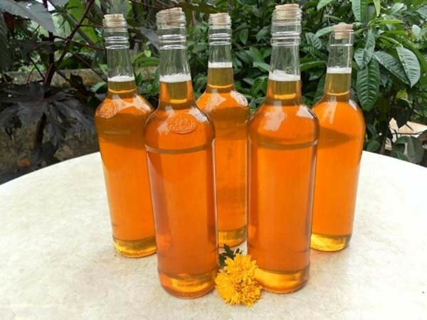 Mật ong nhãn Văn Chấn - đặc sản Yên Bái Về Yên Bái, đừng quên thưởng thức đặc sản nếp Tú Lệ, xôi ngũ sắc