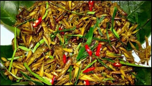 Muồm muỗm rang Mường Lò - Yên Bái Về Yên Bái, đừng quên thưởng thức đặc sản nếp Tú Lệ, xôi ngũ sắc