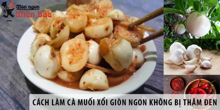 Cách làm cà muối xổi giòn ngon không bị thâm đen Cách làm cà muối xổi giòn ngon không bị thâm đen