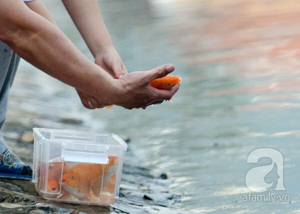 Mâm cỗ cúng ông Công ông Táo truyền thống của người Việt có những gì? 3 Mâm cúng ông Công ông Táo bao gồm những gì?