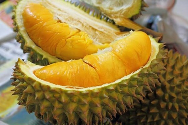 Những múi sầu riêng vàng ươm, thơm ngon, béo ngậy Những múi sầu riêng Ri6 vàng ươm, thơm ngon, béo ngậy