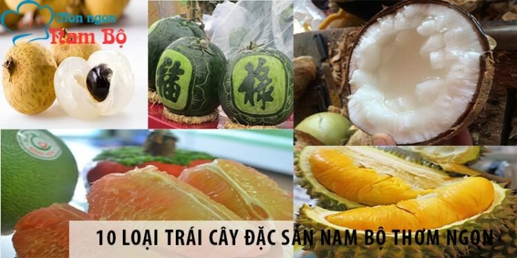 10 loại trái cây đặc sản thơm ngon của người Nam Bộ 10 loại trái cây đặc sản thơm ngon Nam Bộ
