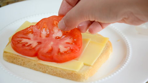 sandwich-7