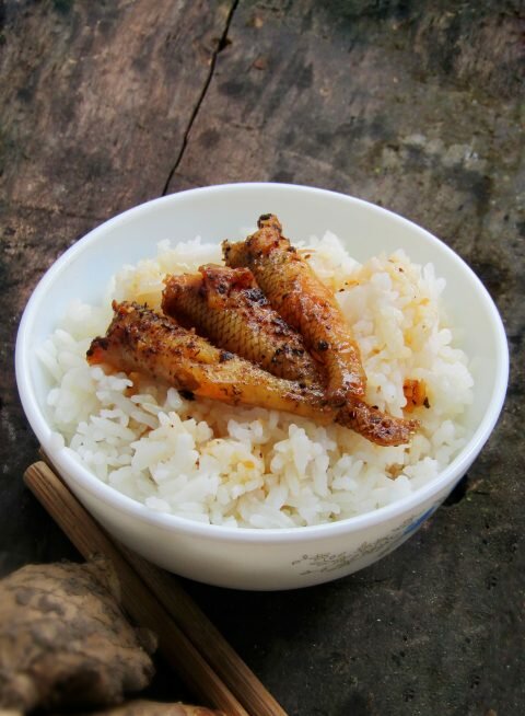 ca-bong-kho-tieu