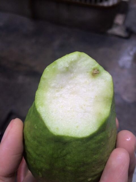 kinh-nghiem-trong-oi-1