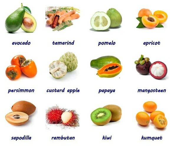 Gia sư là sinh viên luôn cập nhật phương pháp dạy Tiếng Anh mới nhất