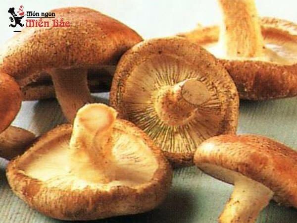 Tác dụng của nấm hương rừng? Cách phân biệt nấm hương Sapa thật và giả