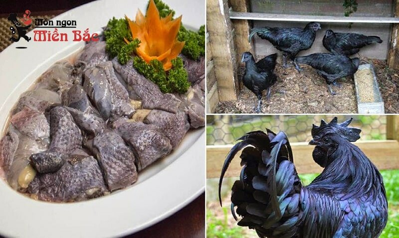 Đặc sản Gà đen Tủa Chùa (Ka Đu) Đặc sản Gà đen Tủa Chùa (Ka Đu)