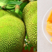 Ăn mít ngừa ung thư, tăng cường sức khỏe tuyến giáp
