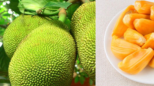 Ăn mít ngừa ung thư, tăng cường sức khỏe tuyến giáp