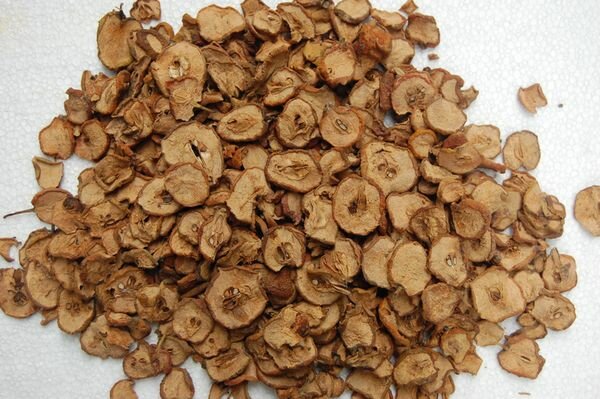 6 bài thuốc Đông y giúp điều trị bệnh sa sút trí tuệ Alzheimer 2