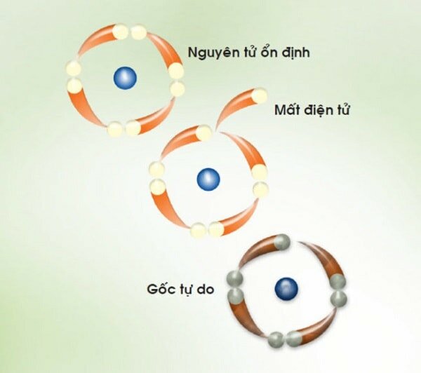 Nguyên nhân nào khiến ngày càng nhiều người trẻ suy giảm trí nhớ? 2