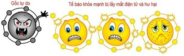 Nguyên nhân nào khiến ngày càng nhiều người trẻ suy giảm trí nhớ? 3