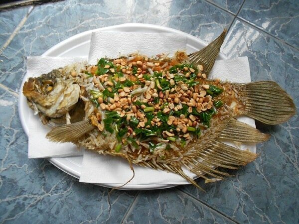 Cá tai tượng chiên xù-món ăn đặc sản của Vĩnh Long 2 Cá tai tượng chiên xù-món ăn đặc sản của Vĩnh Long 2