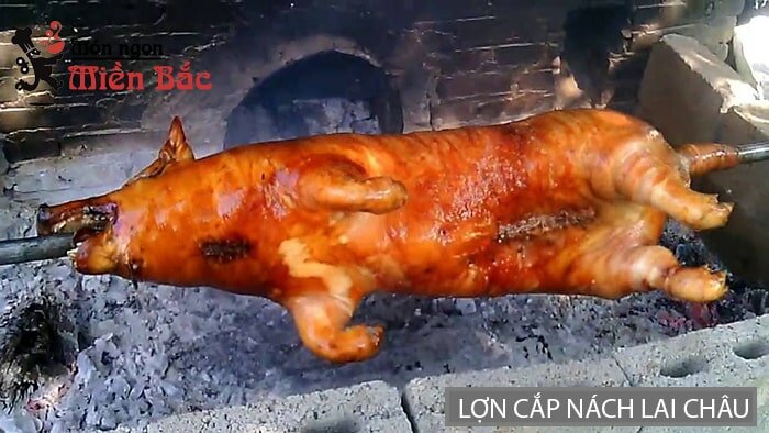 Lợn cắp nách là 1 trong những món đặc sản làm quà được yêu thích ở Lai Châu Lợn cắp nách là 1 trong những món đặc sản làm quà được yêu thích ở Lai Châu